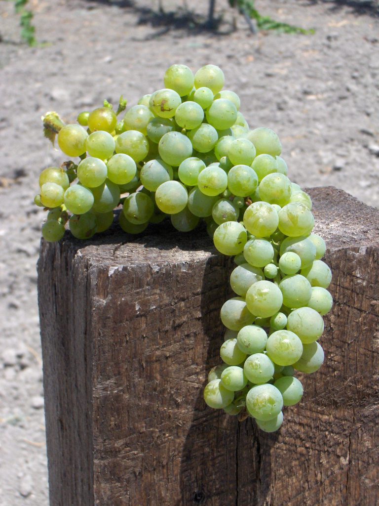 EXTENSIÓN DE NORMA DEL VINO DE ESPAÑA