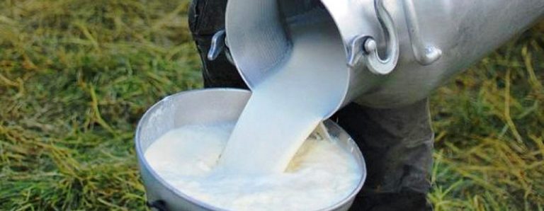 PRODUCCIÓN DE LECHE CRUDA EN ESTABLECIMIENTOS GANADEROS DE OVINO Y CAPRINO