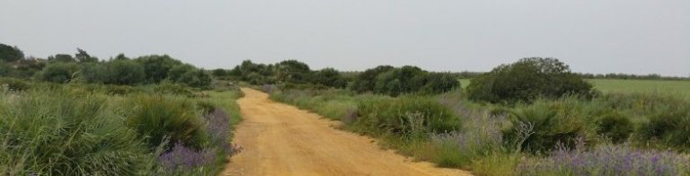 RED NACIONAL VÍAS PECUARIAS