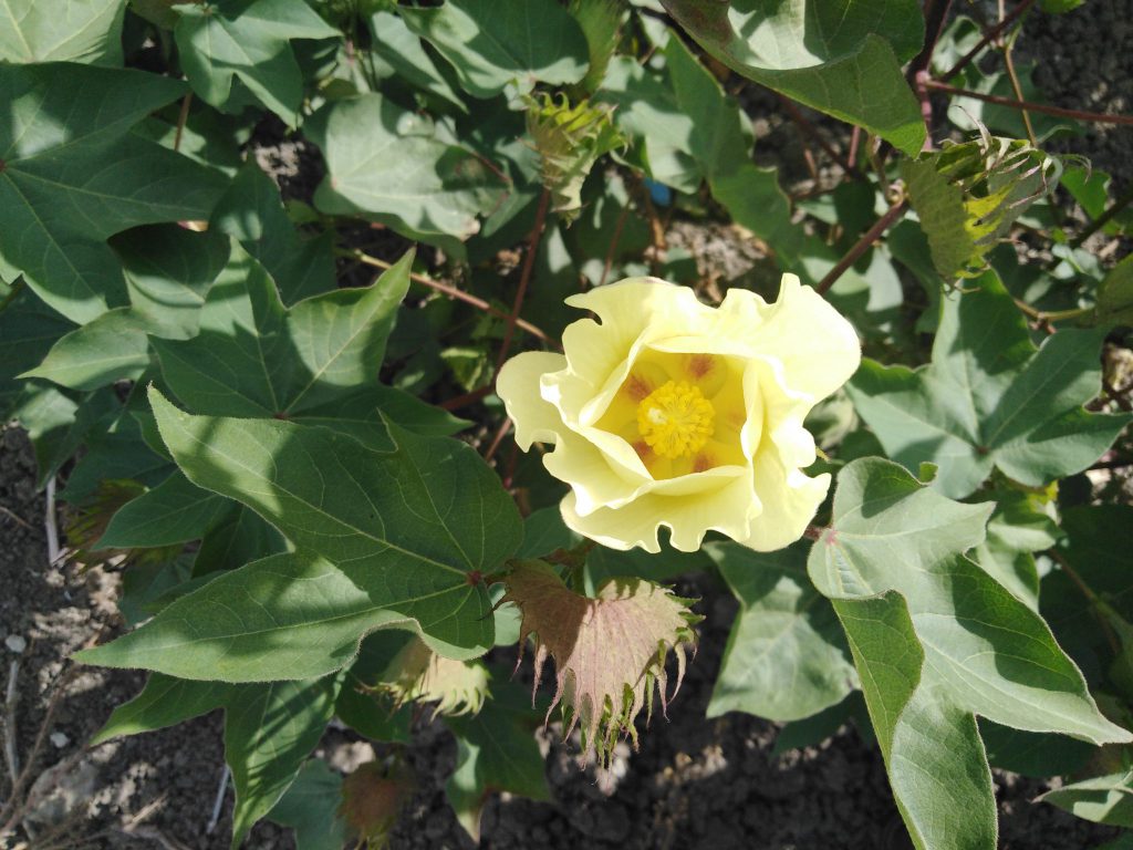 Imagen EVENTOS Y NOTICIAS