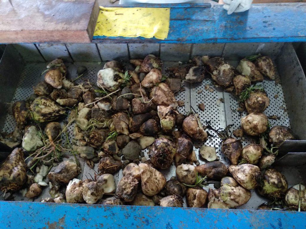 Imagen REPORTAJE FOTOGRÁFICO