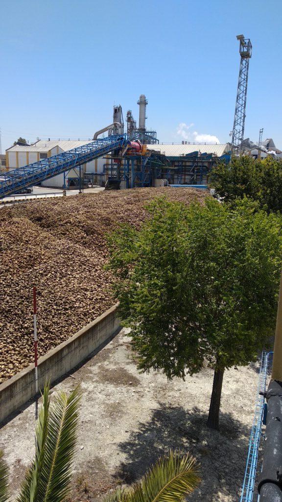 Imagen PRÁCTICAS RECOMENDADAS, PROHIBIDAS Y OBLIGATORIAS