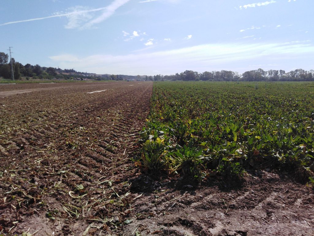 Imagen TRATAMIENTOS RECOMENDADOS