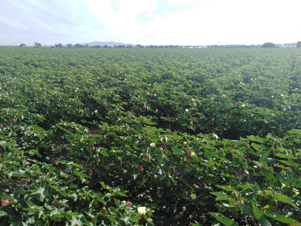 Imagen REPORTAJE FOTOGRÁFICO