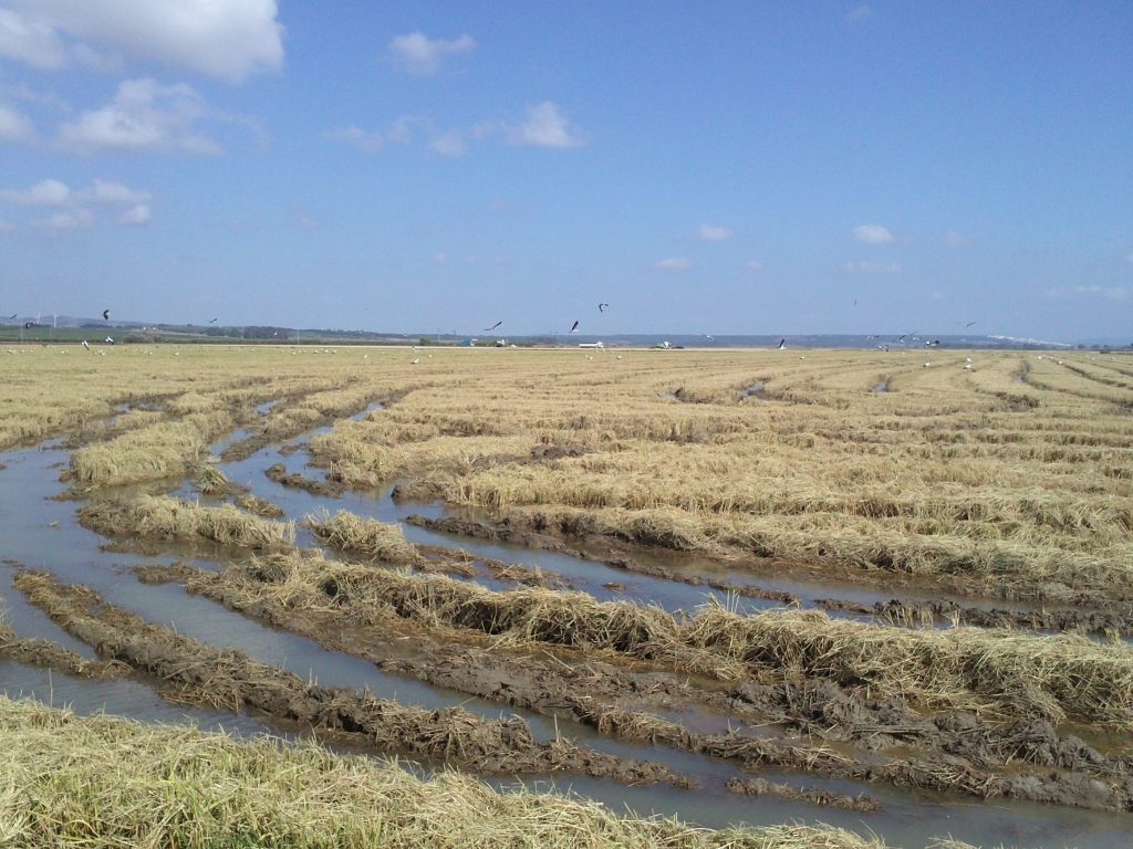 Imagen REPORTAJE FOTOGRÁFICO