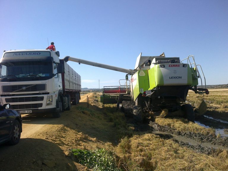 CONVOCADAS LAS AYUDAS DE REINDUS 2019 REINDUSTRIALIZACIÓN Y FORTALECIMIENTO DE LA COMPETITIVIDAD INDUSTRIAL