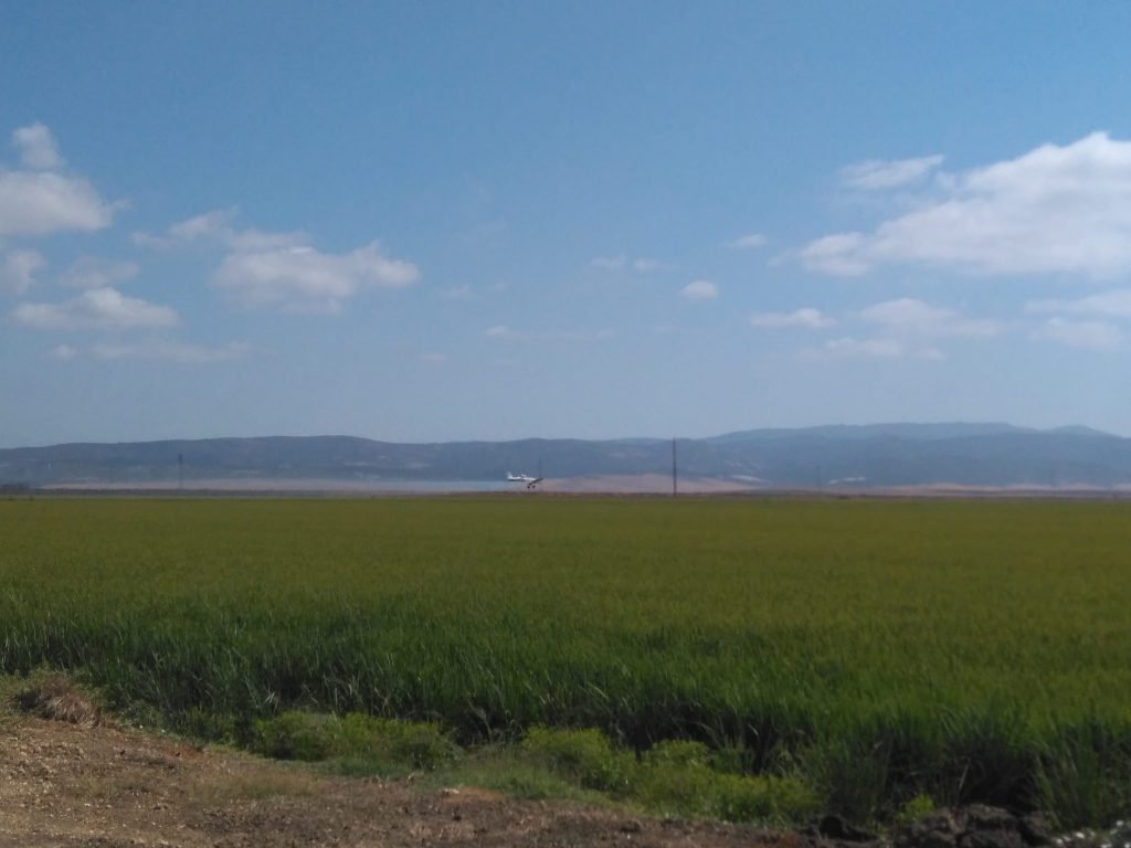 Imagen EVENTOS Y NOTICIAS