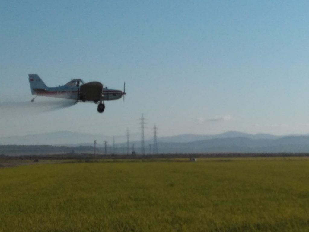 Imagen TRATAMIENTOS RECOMENDADOS