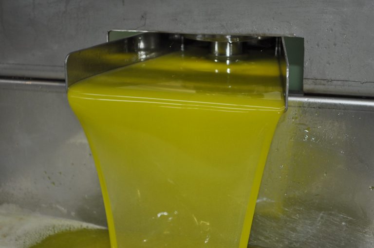 AYUDAS AL ALMACENAMIENTO DE ACEITE DE OLIVA VIRGEN