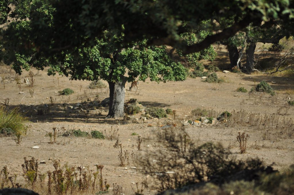 Imagen PLANES Y MEMORIAS