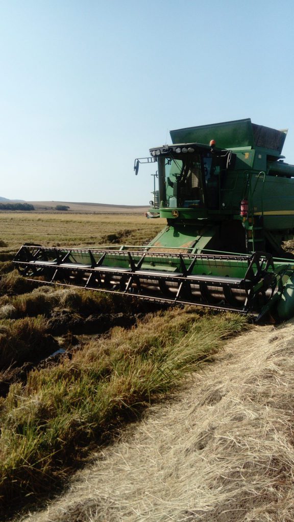 Imagen EVENTOS Y NOTICIAS