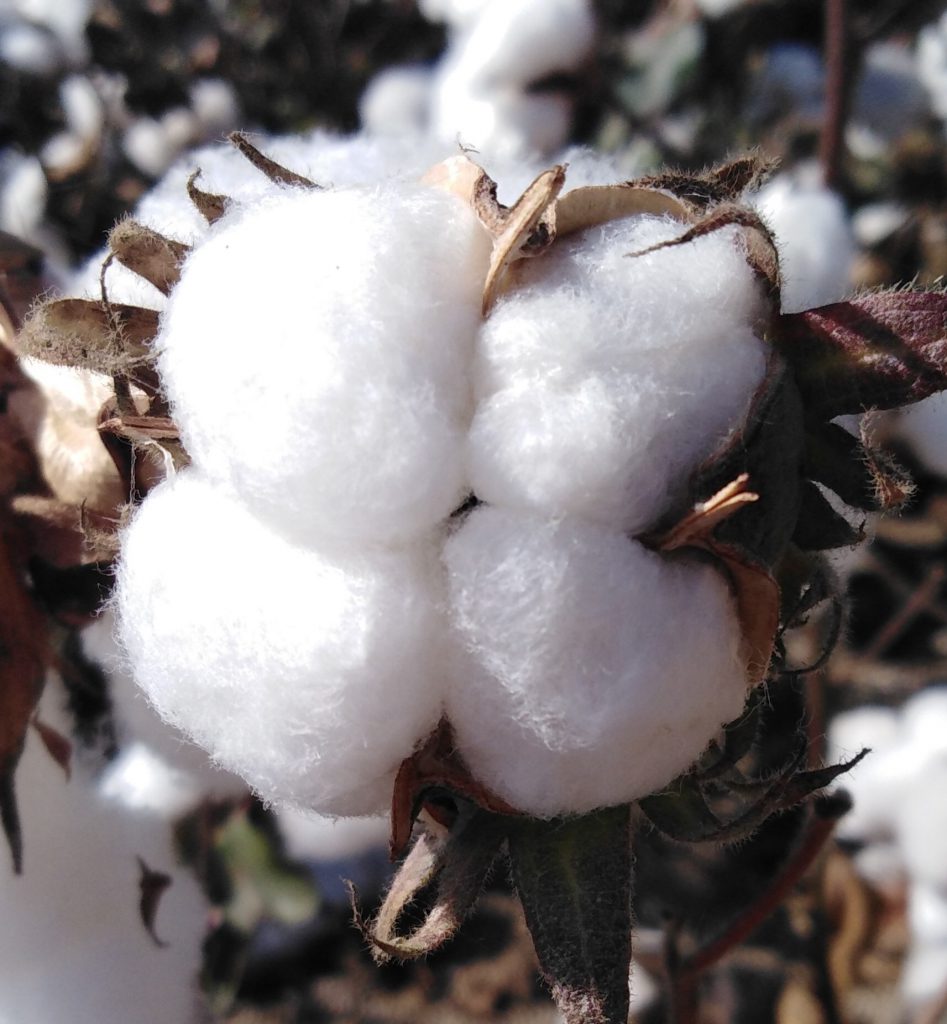 Imagen EVENTOS Y NOTICIAS