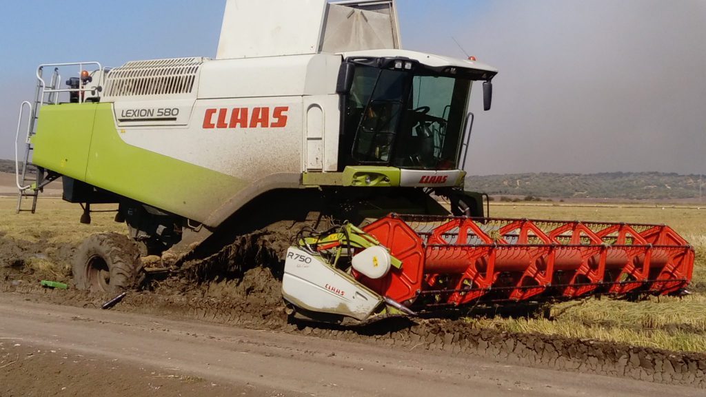 Imagen PRÁCTICAS RECOMENDADAS, PROHIBIDAS, OBLIGATORIAS EN PRODUCCIÓN INTEGRADA