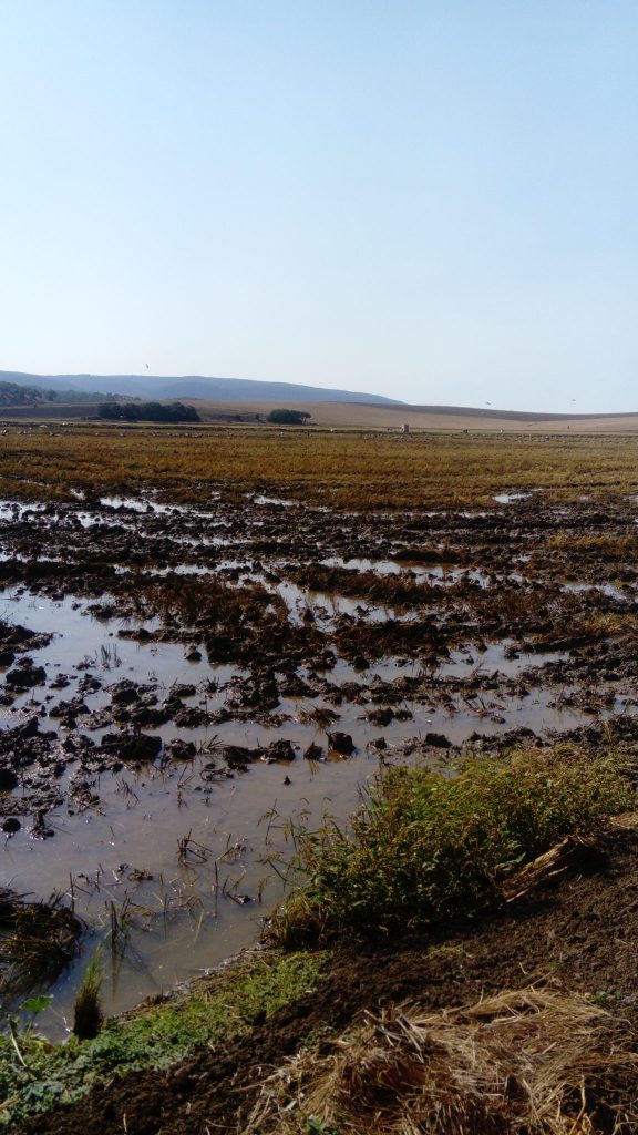 Imagen REPORTAJE FOTOGRÁFICO