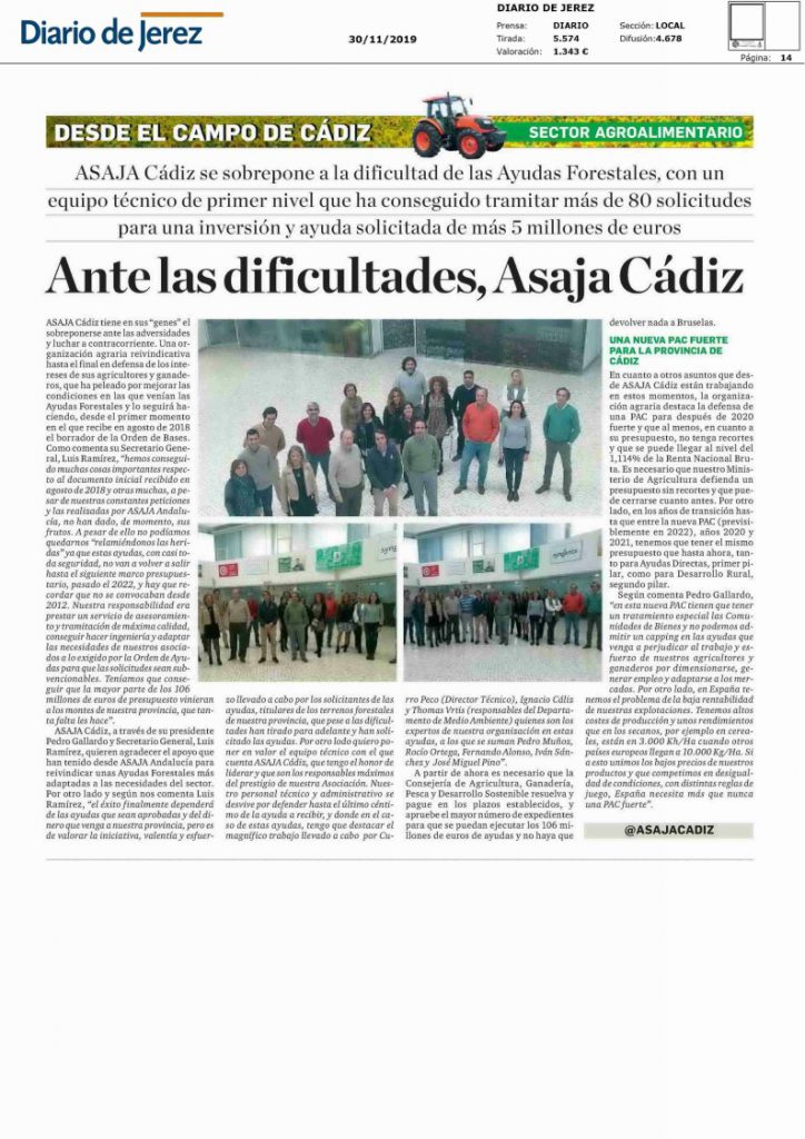 Imagen Sección Desde el Campo de Cádiz. Diarios del Grupo Joly