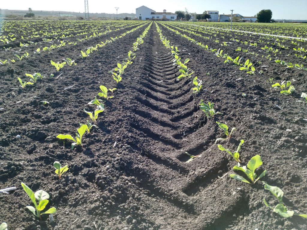 Imagen MEDIDAS URGENTES DE APOYO A AGRICULTORES, GANADEROS Y PYMES AGROALIMENTARIAS
