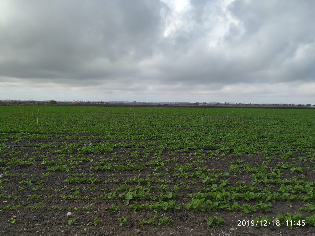 Imagen EVENTOS Y NOTICIAS