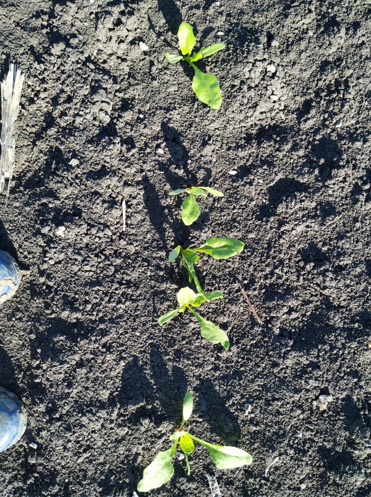 Imagen EVENTOS Y NOTICIAS