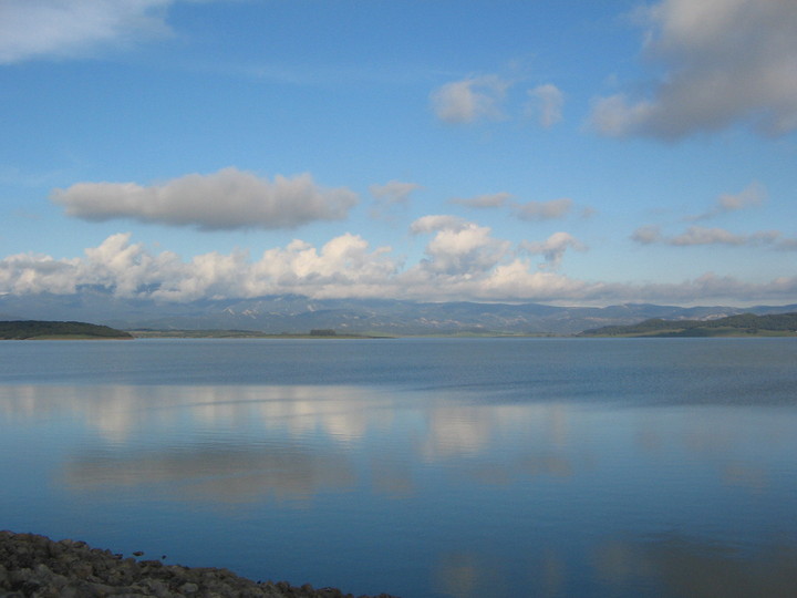 APROVECHAMIENTO DE PASTOS EMBALSE DE CELEMÍN DE MEDINA SIDONIA