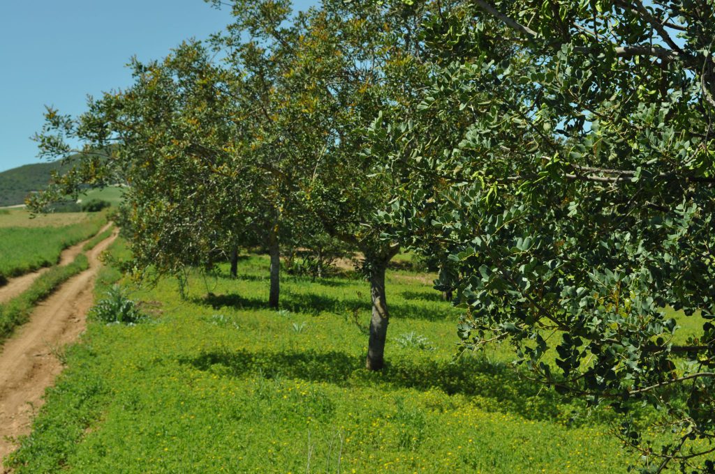Imagen AMPLIACIÓN PLAZO DE PRESENTACIÓN AYUDA CAMINOS RURALES