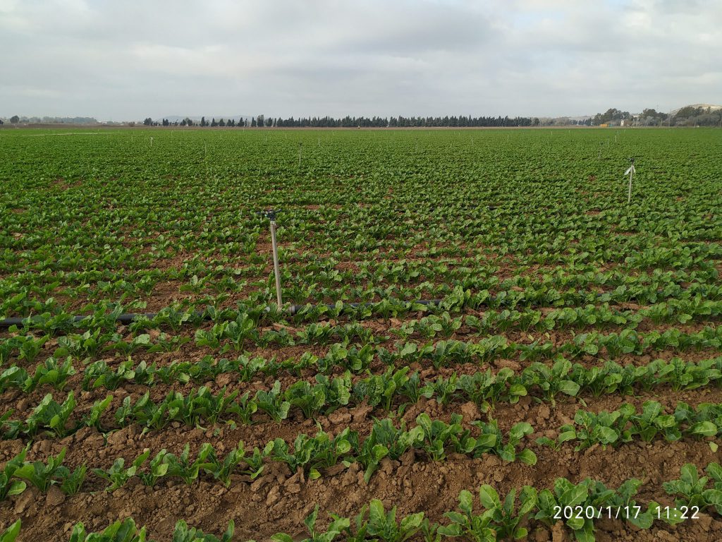 Imagen EVENTOS Y NOTICIAS