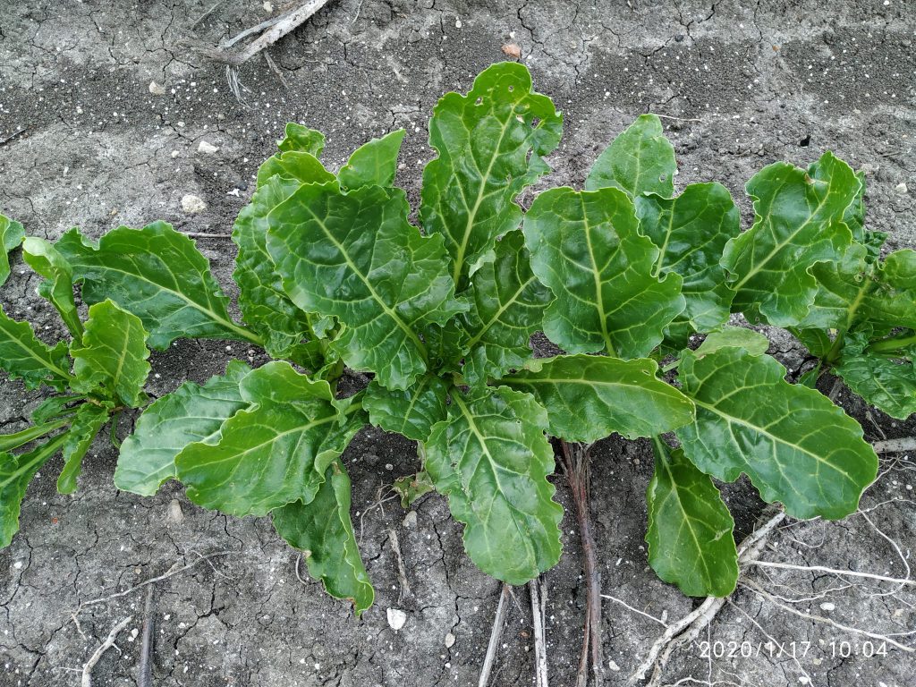 Imagen REPORTAJE FOTOGRÁFICO