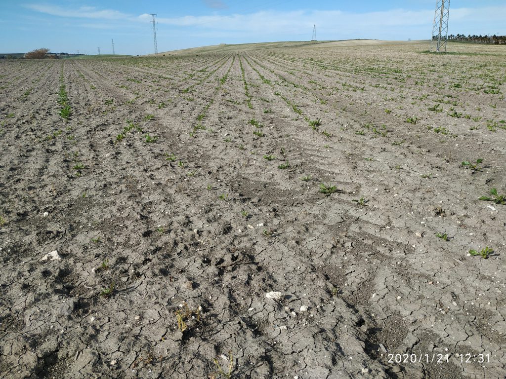 Imagen PRÁCTICAS RECOMENDADAS, PROHIBIDAS Y OBLIGATORIAS