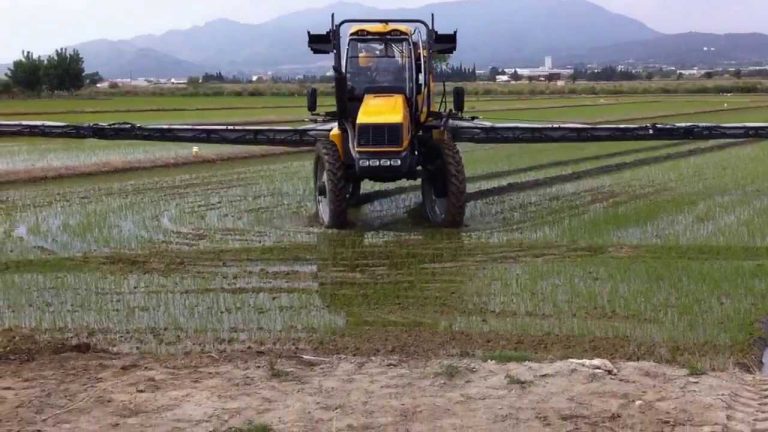 CIRCULARES FEGA: AGRICULTOR ACTIVO Y CONDICIONES ARTIFICIALES. COMUNICACIÓN DE CESIONES DE DERECHOS. ASIGNACIÓN DE DERECHOS DE RESERVA NACIONAL