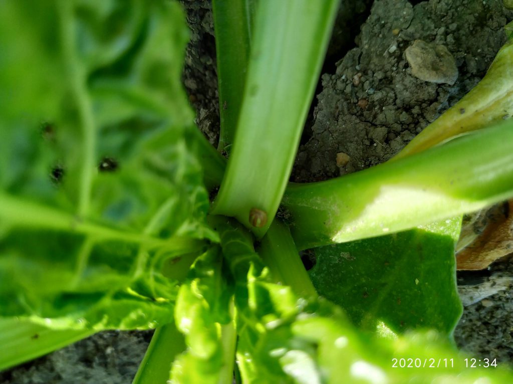 Imagen TRATAMIENTOS RECOMENDADOS