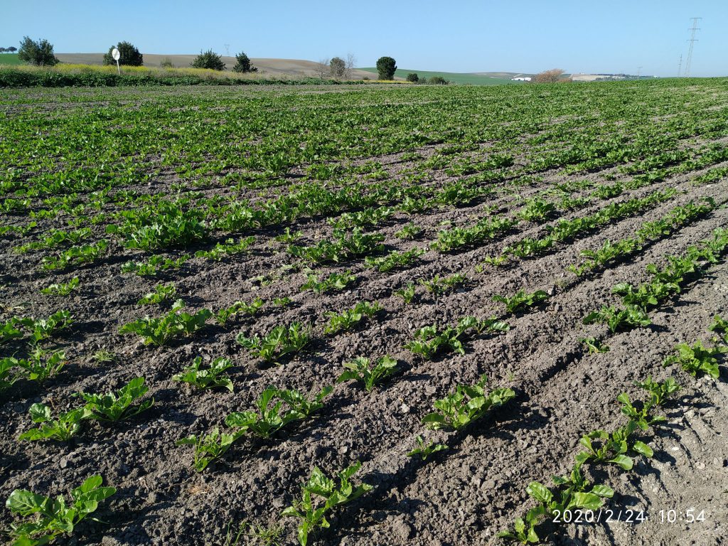 Imagen EVENTOS Y NOTICIAS