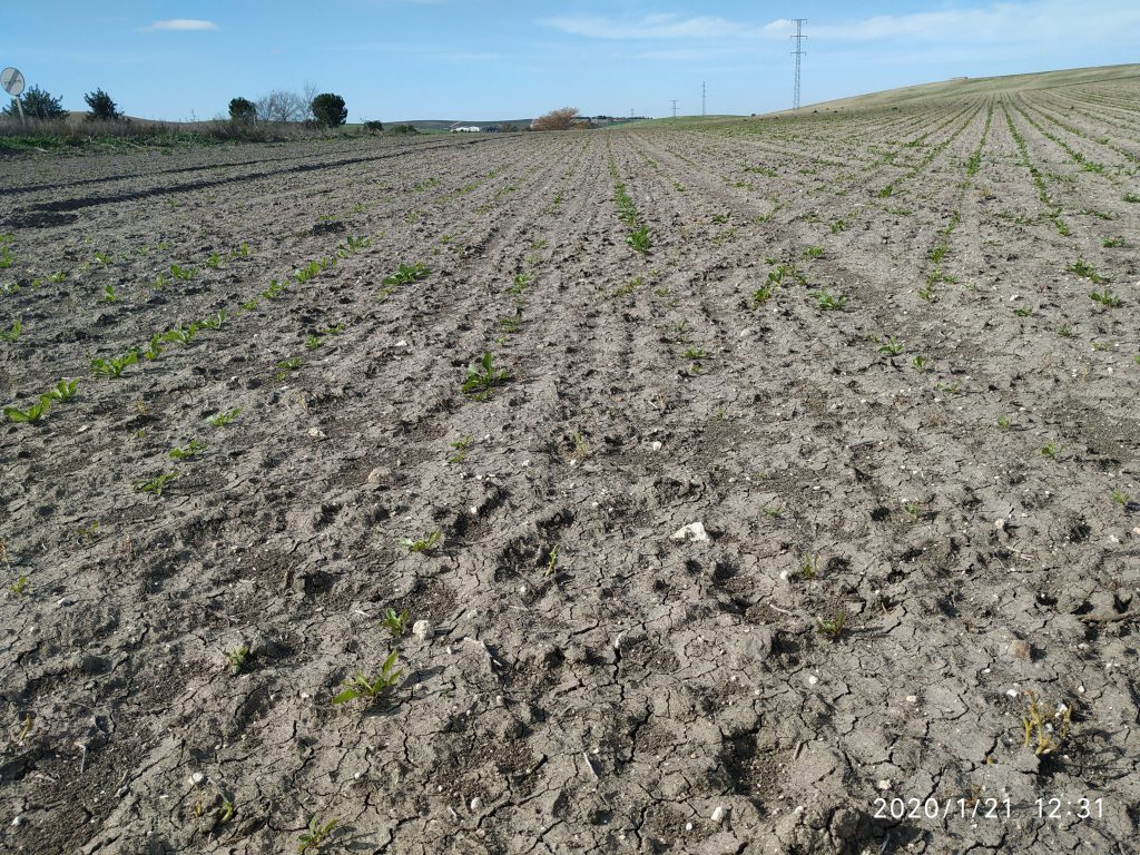 Imagen TRATAMIENTOS RECOMENDADOS