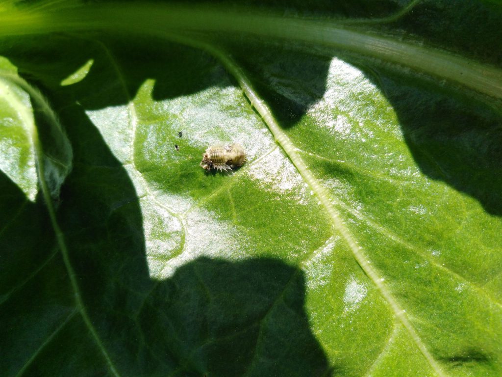 Imagen REPORTAJE FOTOGRÁFICO