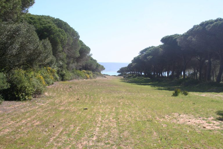 PROYECTO DE ORDEN COMPOSICIÓN Y FUNCIONES DE LA COMISIÓN DE LOS PARQUES NATURALES DE LA PROVINCIA DE CÁDIZ