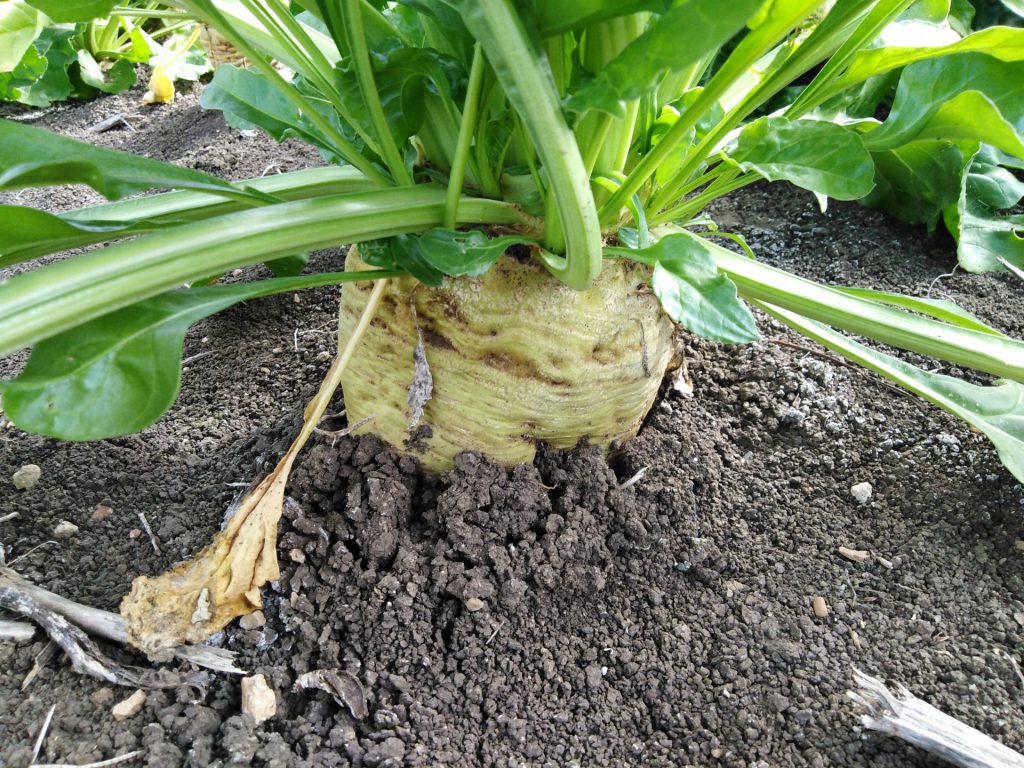 Imagen EVENTOS Y NOTICIAS