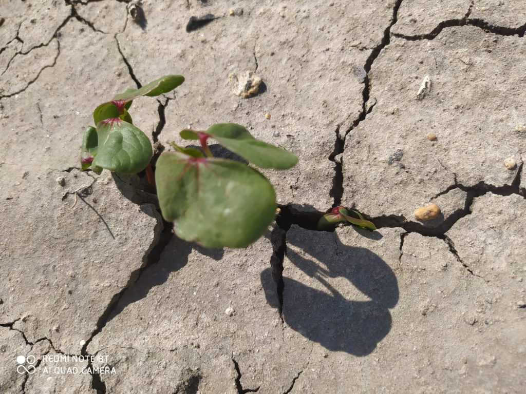 Imagen REPORTAJE FOTOGRÁFICO