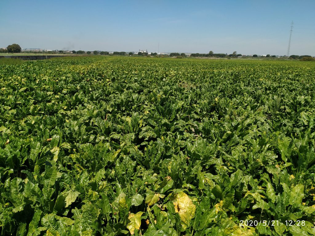 Imagen EVENTOS Y NOTICIAS