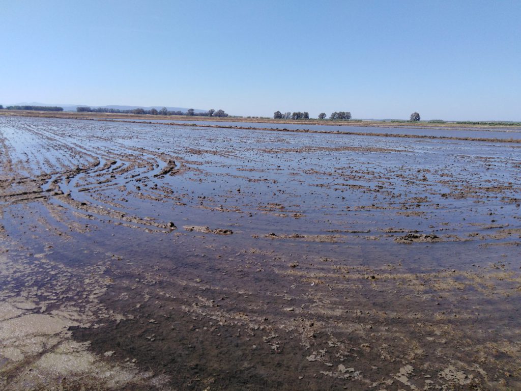 Imagen REPORTAJE FOTOGRÁFICO