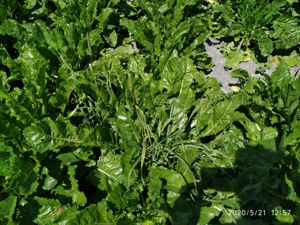 Imagen REPORTAJE FOTOGRÁFICO