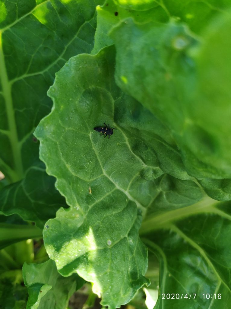 Imagen PRÁCTICAS RECOMENDADAS, PROHIBIDAS Y OBLIGATORIAS