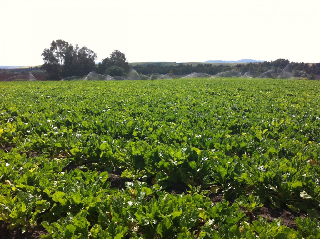 Imagen CUADERNO DE EXPLOTACIÓN