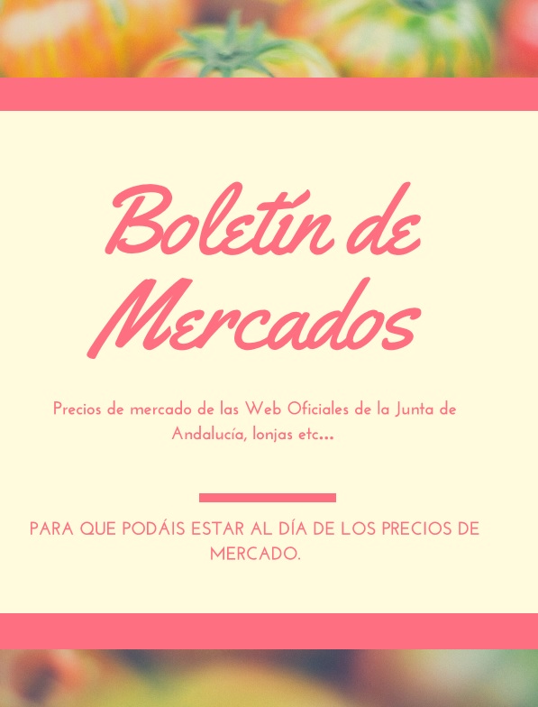 BOLETÍN DE MERCADOS