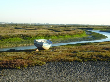 II PLAN DE DESARROLLO SOSTENIBLE DEL PARQUE NATURAL BAHÍA DE CÁDIZ