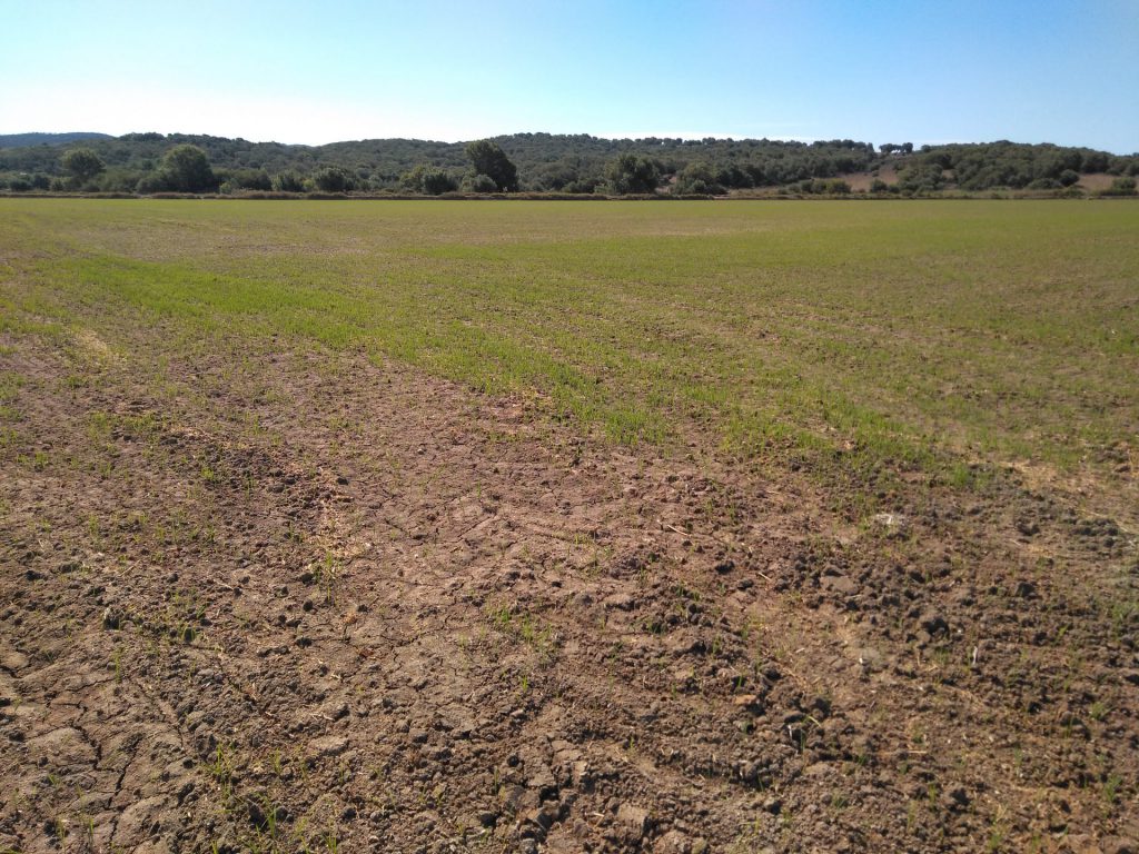 Imagen EVENTOS Y NOTICIAS