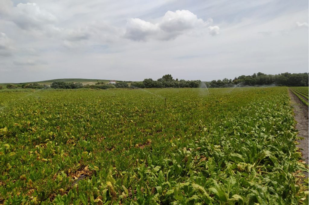 Imagen PRÁCTICAS RECOMENDADAS, PROHIBIDAS Y OBLIGATORIAS