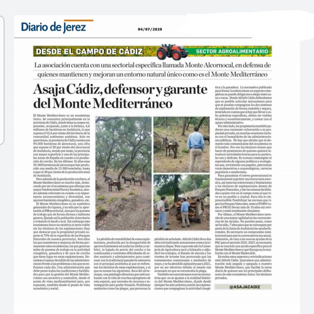 Imagen Asaja Cádiz, defensor y garante del Monte Mediterráneo