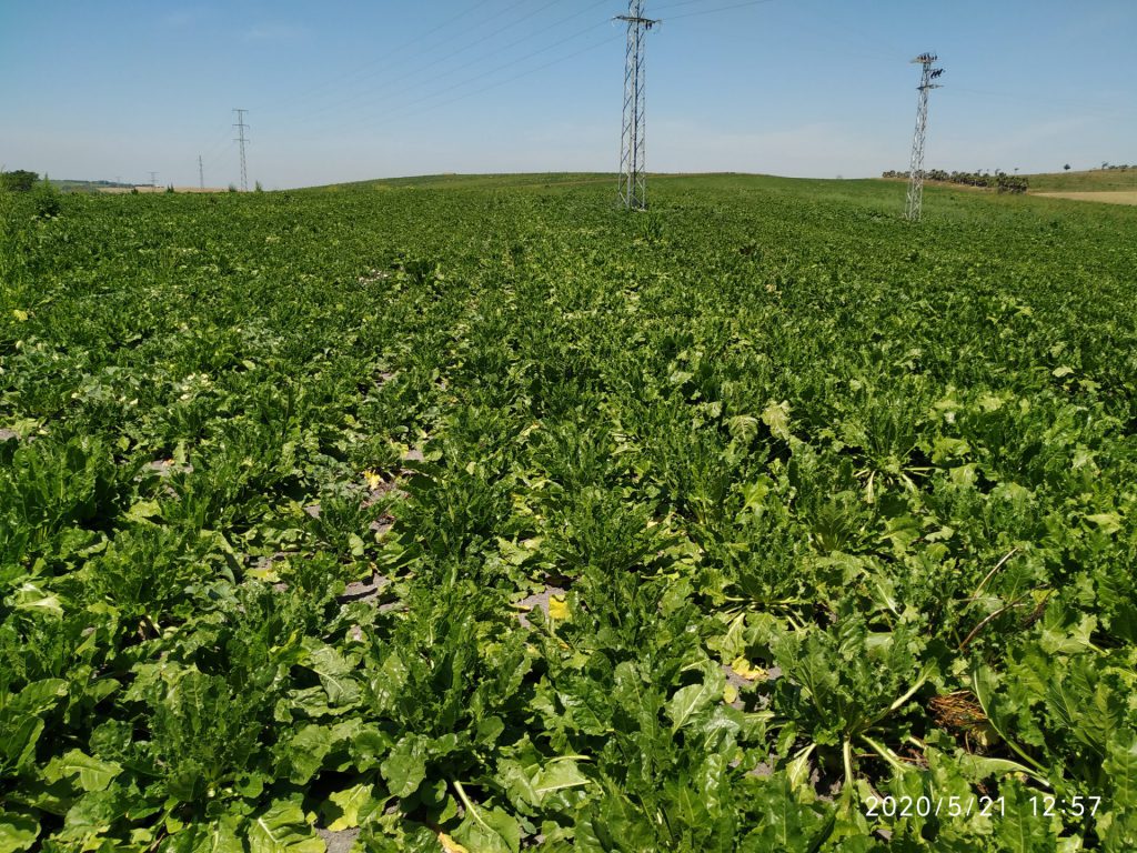 Imagen PRÁCTICAS RECOMENDADAS, PROHIBIDAS Y OBLIGATORIAS