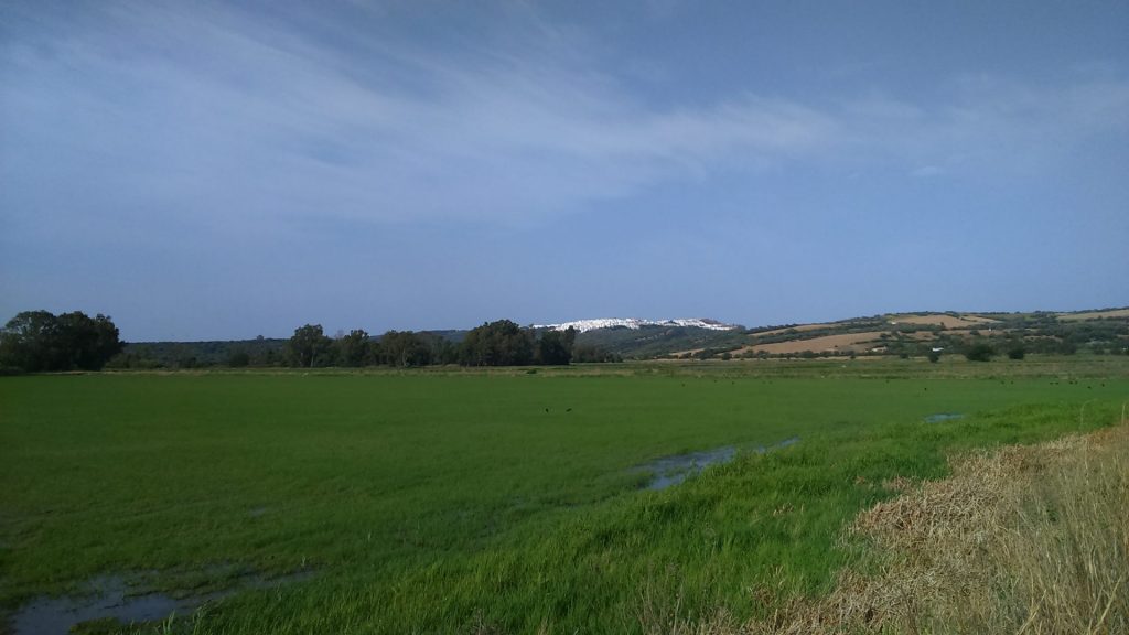 Imagen REPORTAJE FOTOGRÁFICO