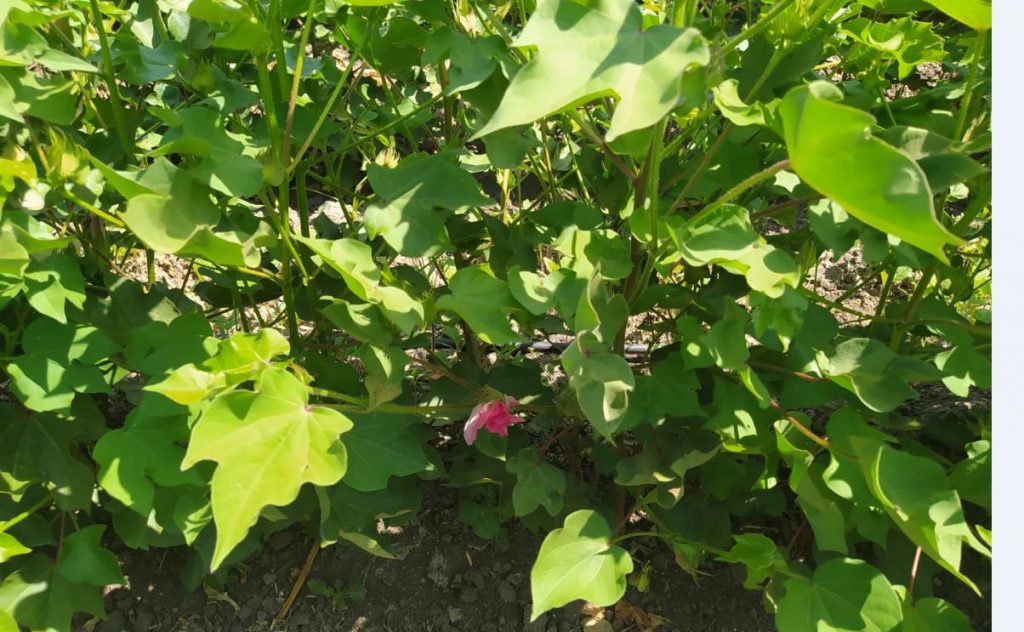 Imagen REPORTAJE FOTOGRÁFICO