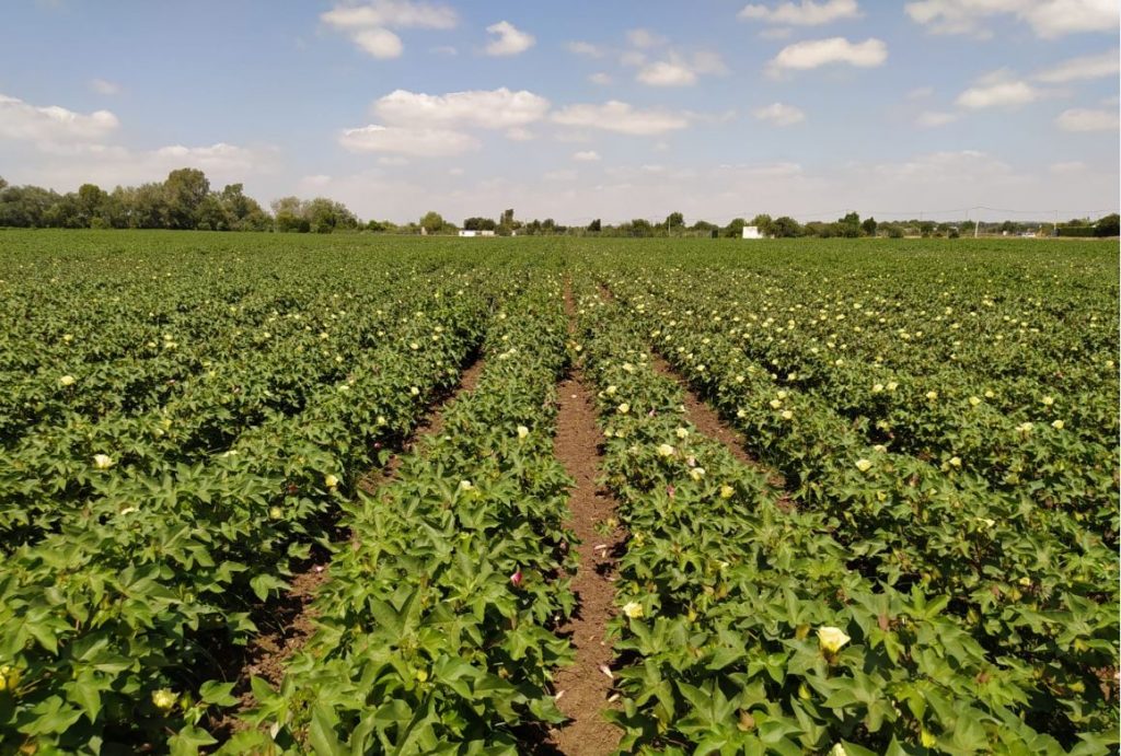 Imagen EVENTOS Y NOTICIAS