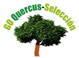 GRUPO OPERATIVO QUERCUS-SELECCIÓN